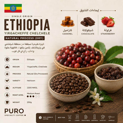 معلومات قهوة إثيوبيا يارجاشيف شيلشلي المختصة من PURO، منشأ إثيوبي، معالجة مجففة (Natural)، ارتفاع 2200 متر، وتحميص متوسط