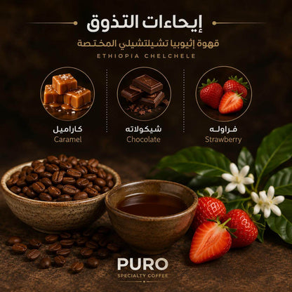 إيحاءات تذوق قهوة مختصة إثيوبية يارجاشيف شيلشلي من PURO تشمل الشوكولاتة والكراميل والفراولة