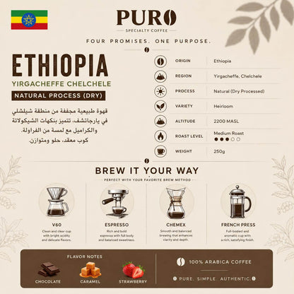 طرق تحضير قهوة إثيوبيا يارجاشيف شيلشلي المختصة من PURO، وتشمل V60 والإسبريسو والكيمكس والفرنش برس للحصول على أفضل استخلاص